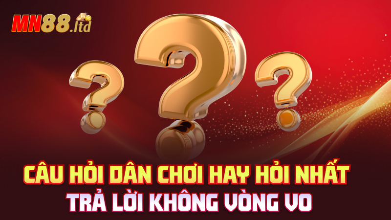 Câu hỏi dân chơi hay hỏi nhất – Trả lời không vòng vo
